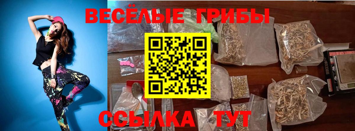 Галлюциногенные грибы ЛСД Нягань