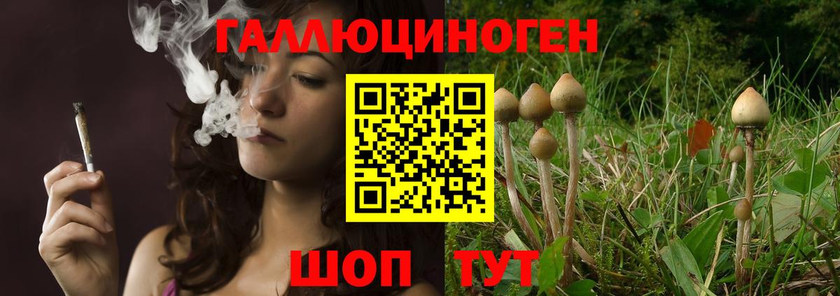 Галлюциногенные грибы Psilocybe  Вход с VPN  Нягань 